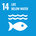 SDG 14 – Life Below Water